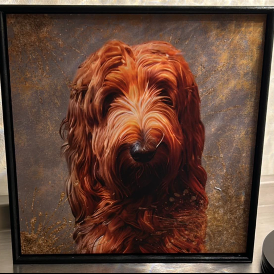 A close-up portrait of a fluffy brown dog with wavy fur and a soft expression.