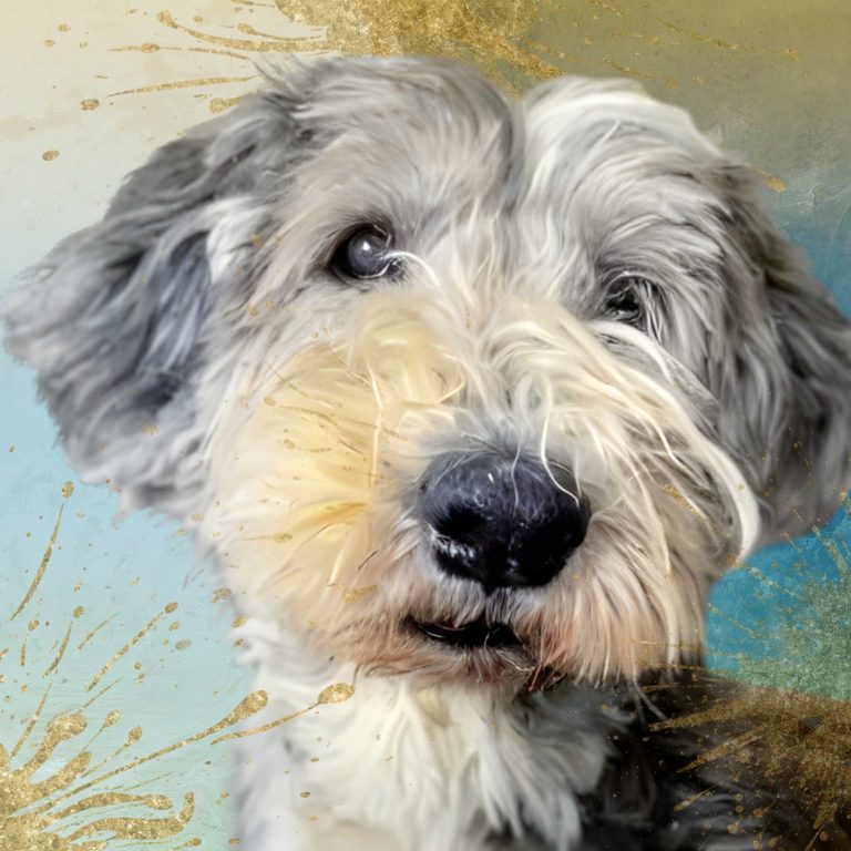 Fluffy grey and white dog with a friendly expression against a textured blue and gold background.